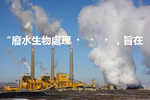 “廢水生物處理，旨在凈化水源，守護碧水藍天”